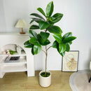 70/135cm Artificial Ficus Tree