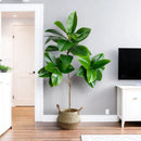 70/135cm Artificial Ficus Tree