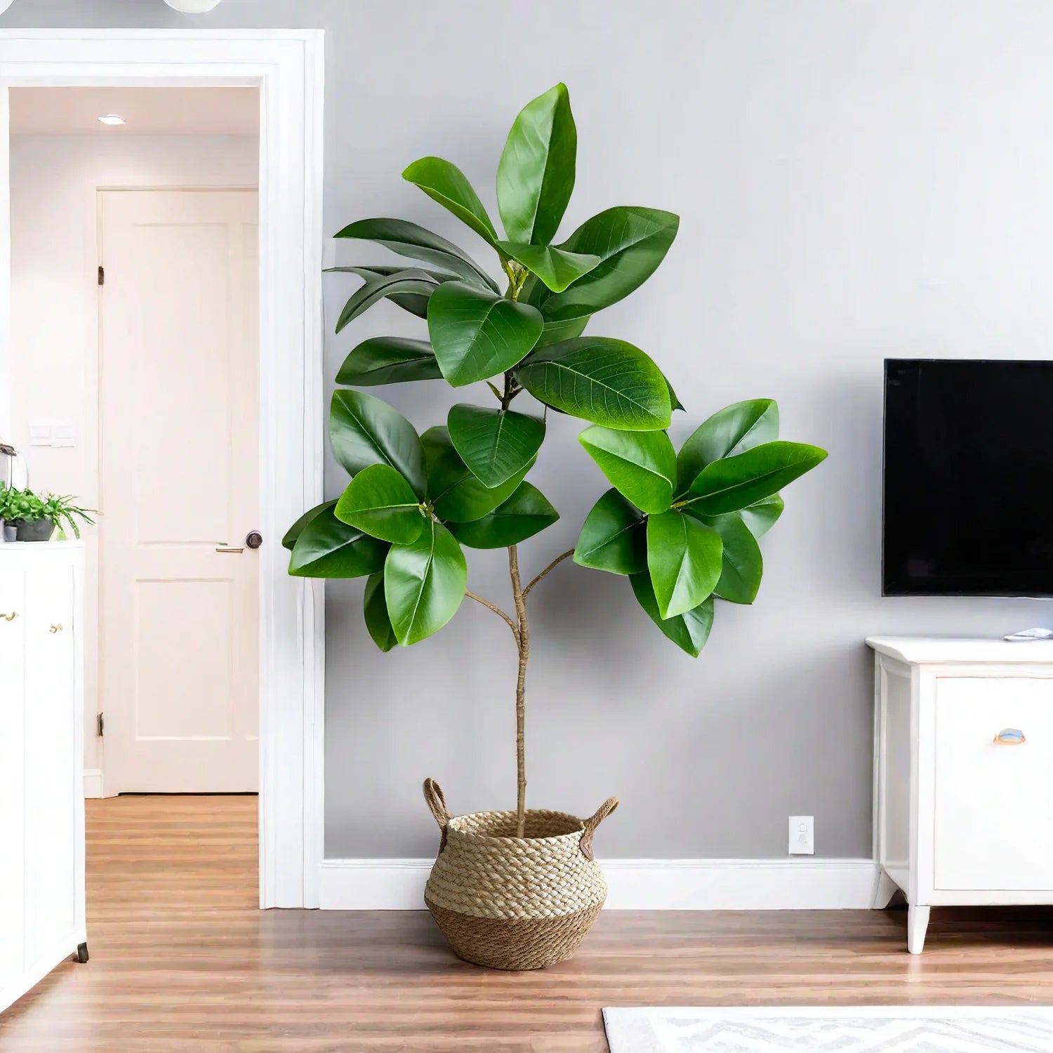 70/135cm Artificial Ficus Tree